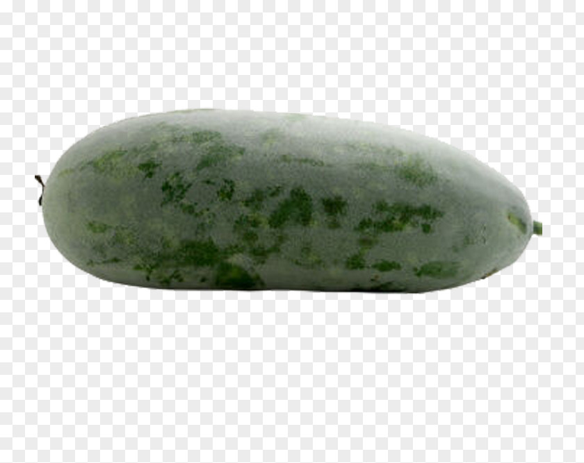 A Melon Cucumber Wax Gourd PNG