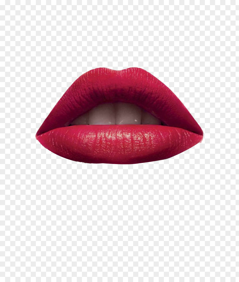 Big Red Lips Lipstick Euclidean Vector PNG