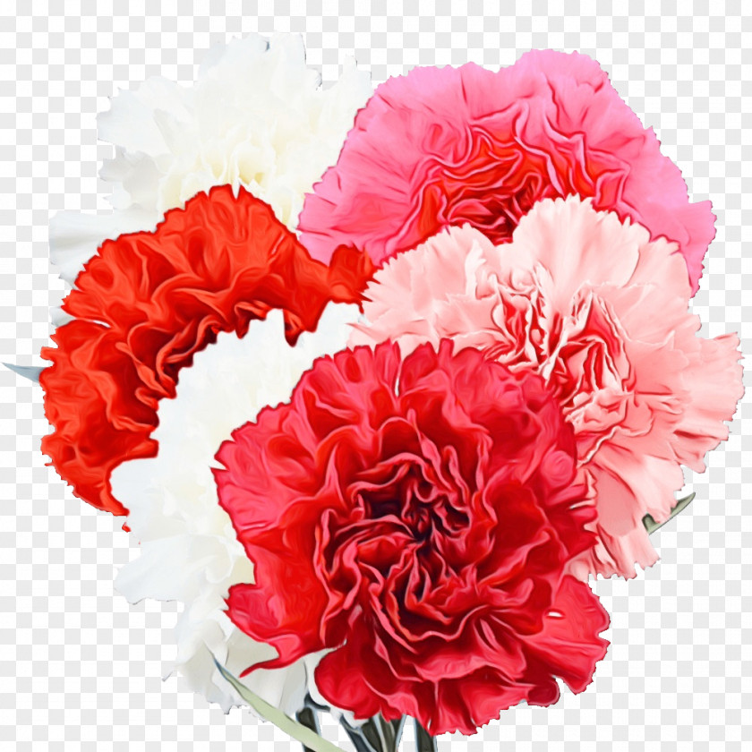 Floral Design PNG