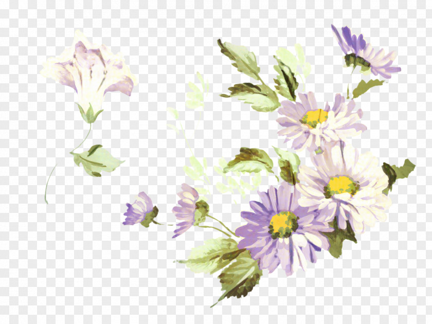 Bouquet Daisy Family Floral Flower Background PNG