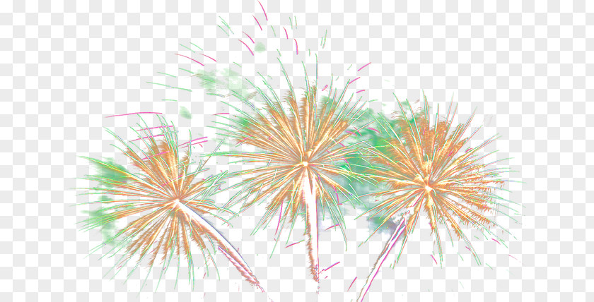 Fireworks HD Material Flower Computer Wallpaper PNG