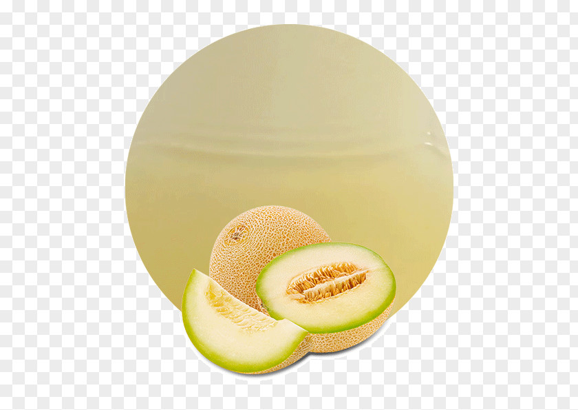 Honey Melon Honeydew Galia Juice Cantaloupe Canary PNG