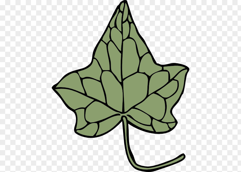 Marijuana Clipart Ivy Vine Clip Art PNG