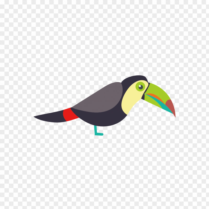 Multicolored Parrot Bird Toucan Euclidean Vector PNG