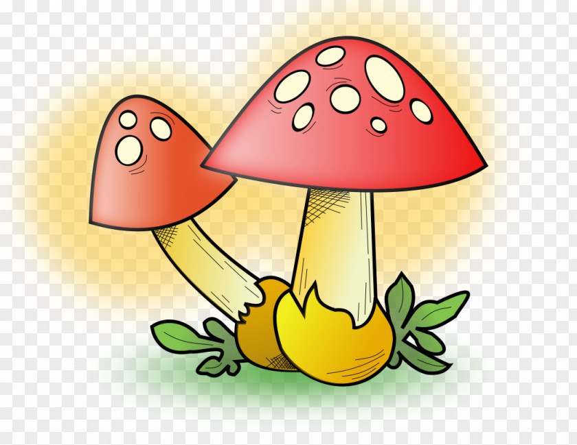 Mushroom Clip Art Fungus Cartoon Illustration PNG