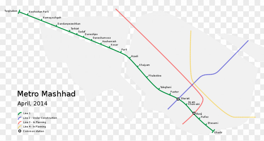 Angle Line Product Design Map Tuberculosis PNG