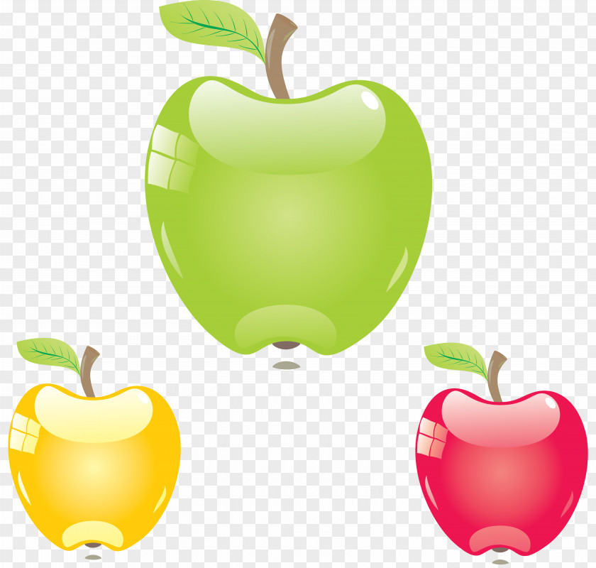 Apple IPhone Clip Art PNG