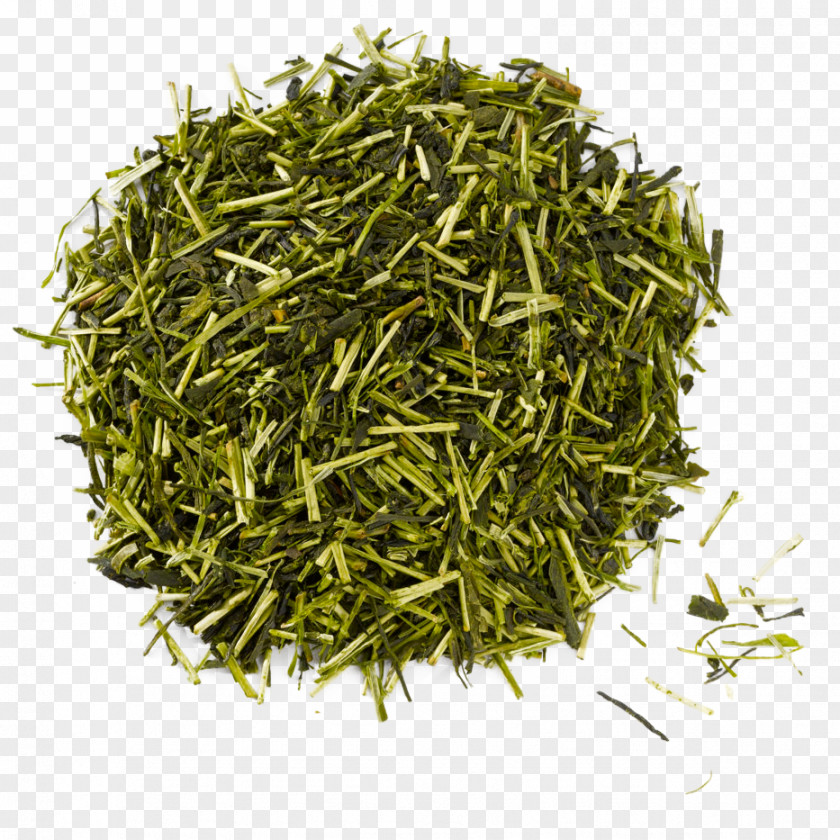 Green Tea Gyokuro Nilgiri Assam PNG