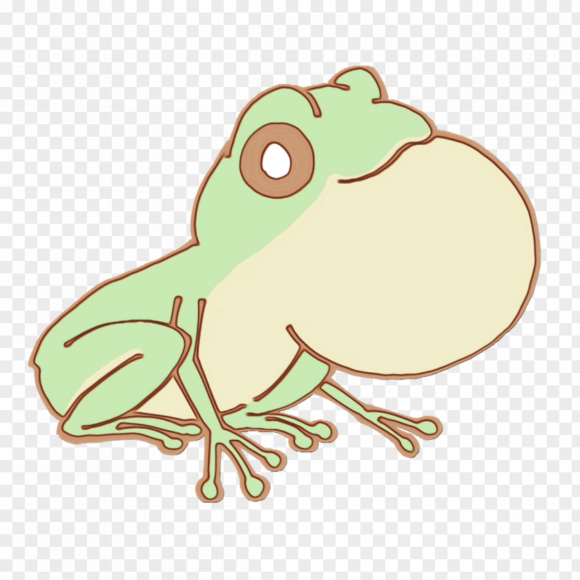 Toad True Frog Tree Frogs Beak PNG