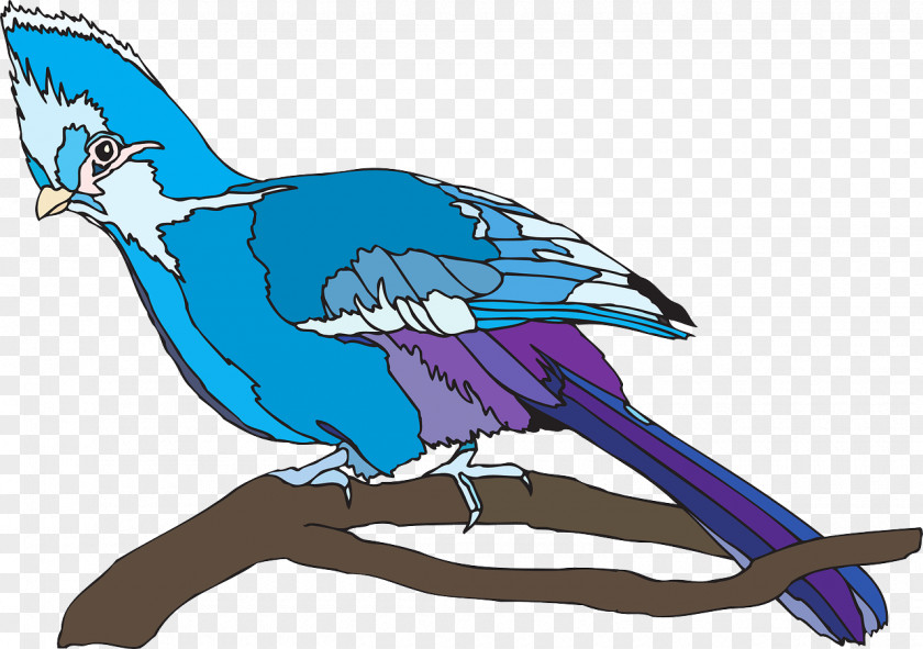 Birds Bird Clip Art PNG