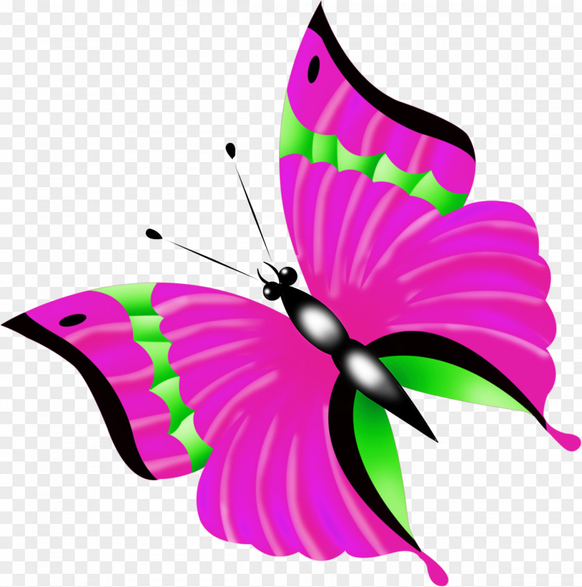 Butterfly Photography Clip Art PNG