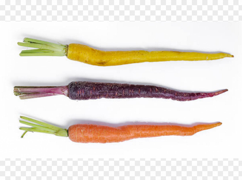 Carrot Carota Di Polignano Carotene Salad Juice PNG