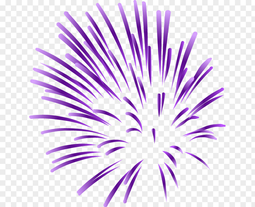 Cool Fireworks Clip Art PNG