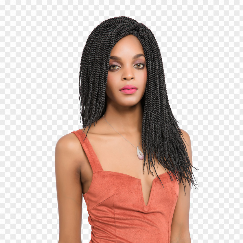 Princess Jasmine Wig Long Hair Black Artificial Integrations Braid PNG