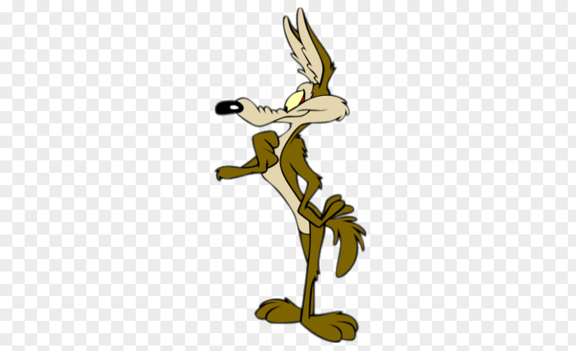 Running Road Wile E. Coyote And The Runner Marvin Martian Looney Tunes PNG
