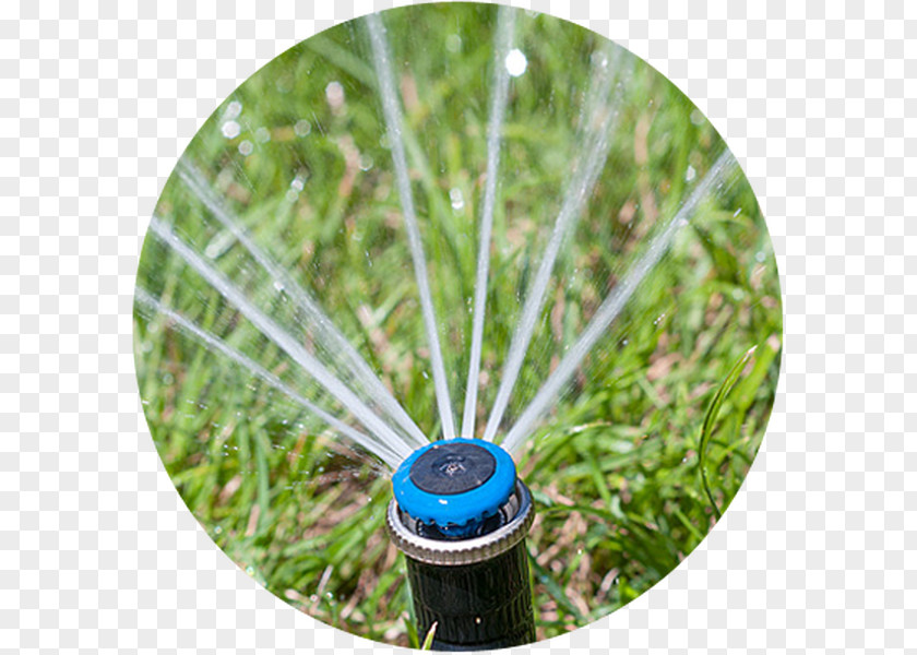 Water Irrigation Sprinkler Fire System Sistema De Riego Lawn PNG