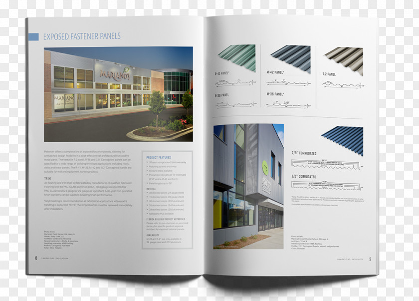 Design Brand Brochure PNG