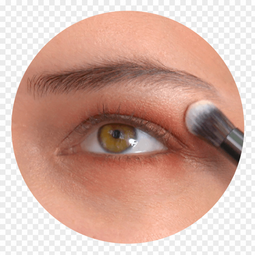 Fuk Upper And Lower Ends Shading Eyelash Extensions Eye Shadow Close-up PNG