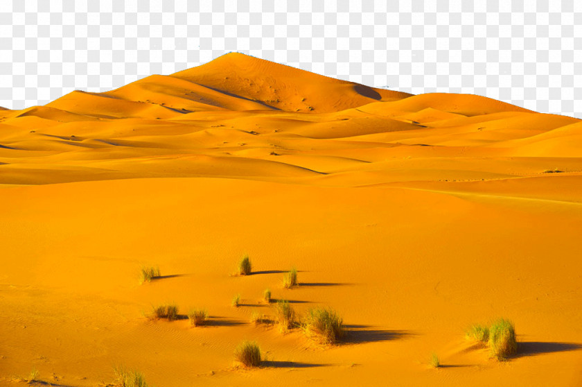 Sahara Africa Travel Download Landscape Stock Photography PNG