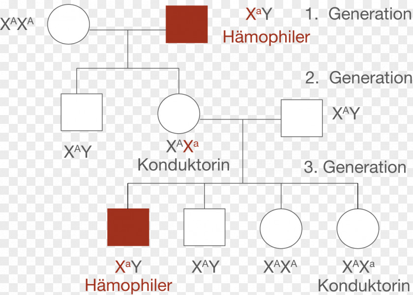 Vater Haemophilia Stammbaumanalyse Allel Recesywny Genetic Disorder Rot-Grün-Sehschwäche PNG