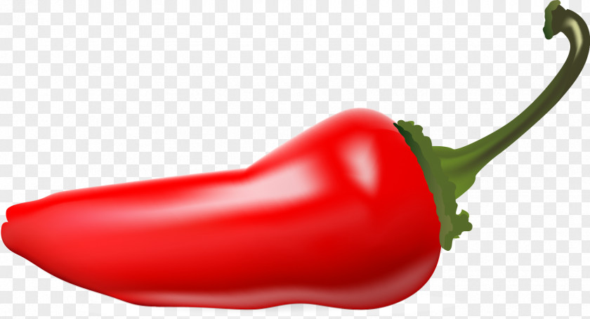 Vector Pepper Piquillo Serrano Cayenne Birds Eye Chili Bell PNG