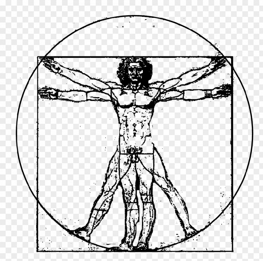 Vitruvian Man The Creation Of Adam PNG