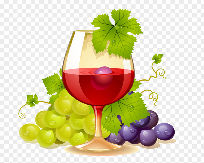 Wine White Common Grape Vine Champagne Clip Art PNG