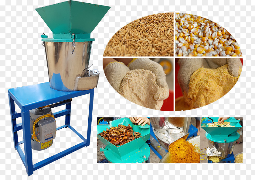 Animal Feed Five Grains Food Agriculture Livestock PNG