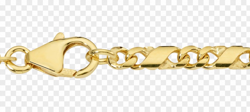Chain Bracelet Jewellery Necklace PNG