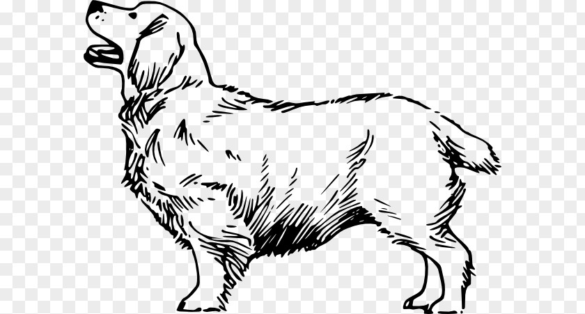 Cocker Spaniel Clipart Drawing Dogs Beagle Clip Art PNG