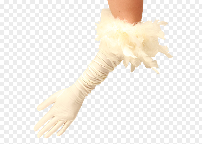 Hand Thumb Model Glove PNG