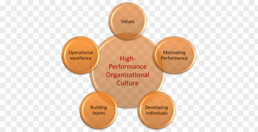 Organizational Culture Performance Effectiveness Term Paper PNG