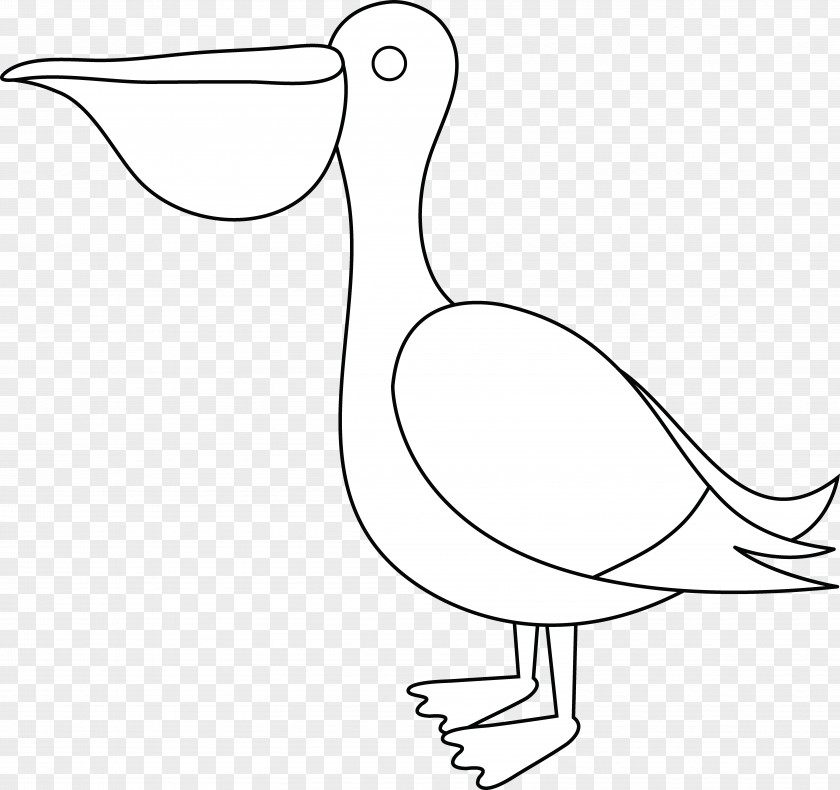 Pelican Drawing Clip Art PNG