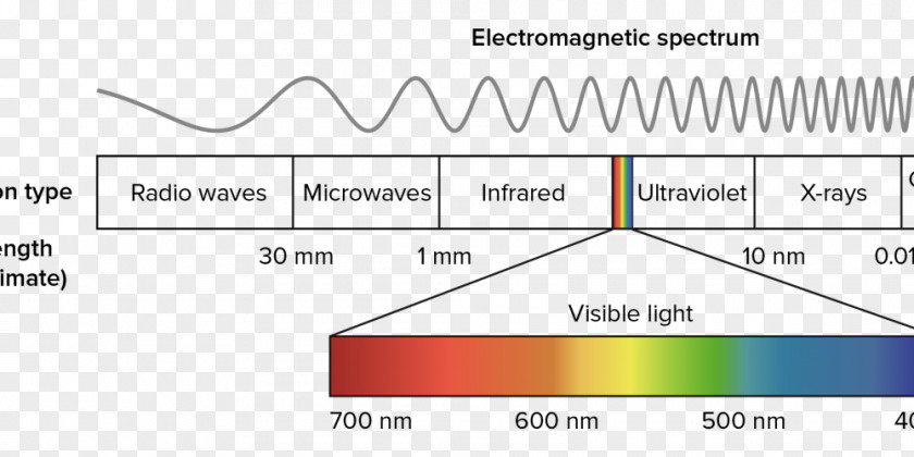 Aquariumlighting Of The Seawater Light Electromagnetic Spectrum Visible Radiation Photosynthetically Active PNG
