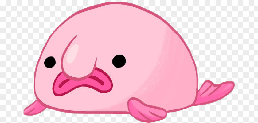 Blobfish Pink Is For Blobfish: Discovering The World's Perfectly Animals Image Drawing PNG