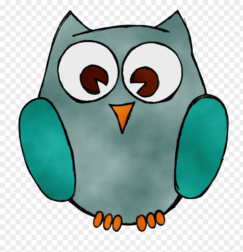 Eastern Screech Owl Aqua Bird Green Cartoon Turquoise PNG