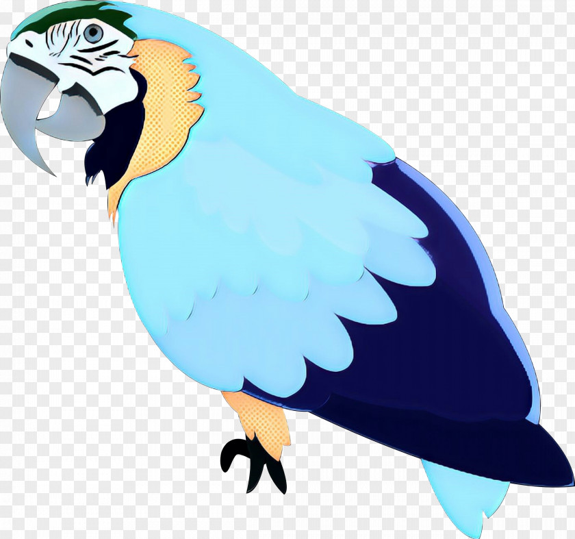 Macaw Clip Art Feather Illustration Bird PNG