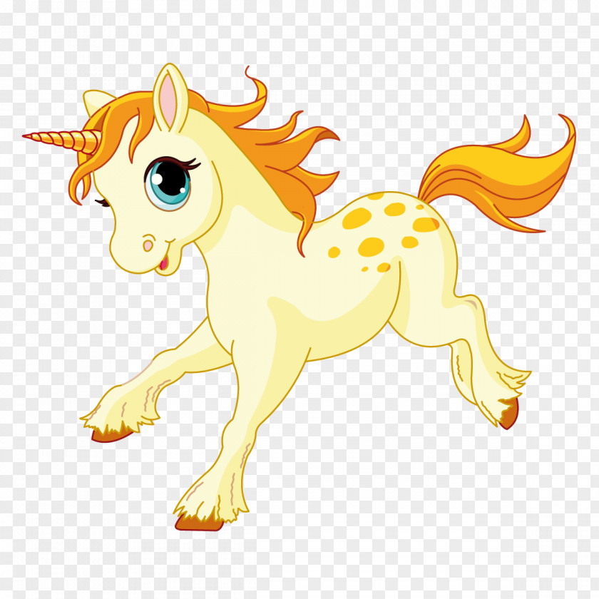 Unicorn Pony Horse Foal PNG