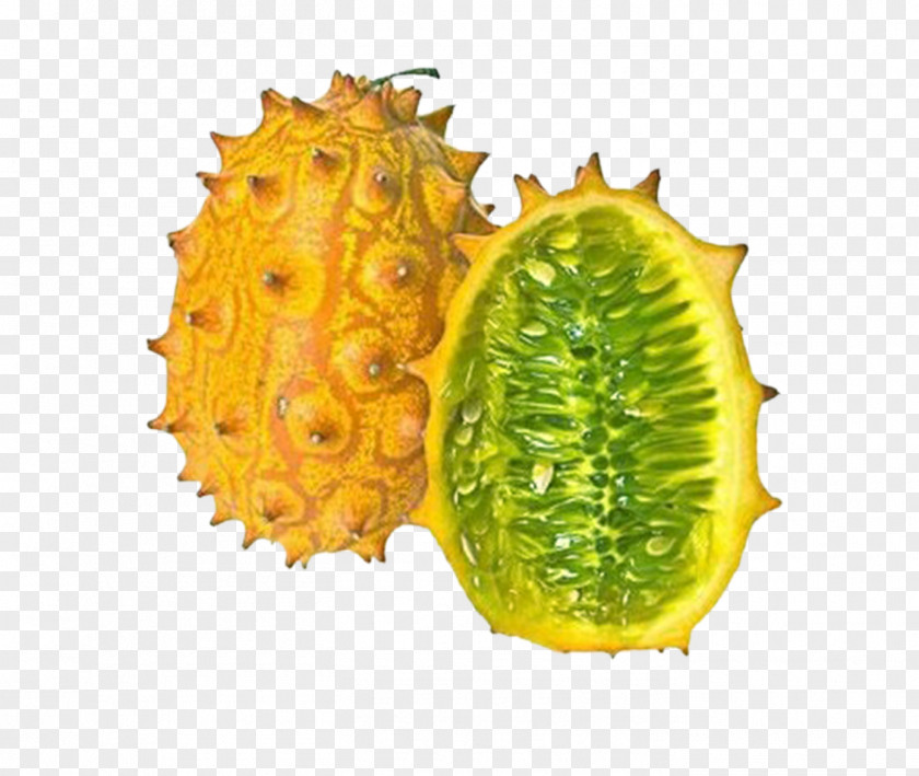 Despite Being A Thorn Horn Melon Horned Cucumber Muskmelon Cucurbita PNG