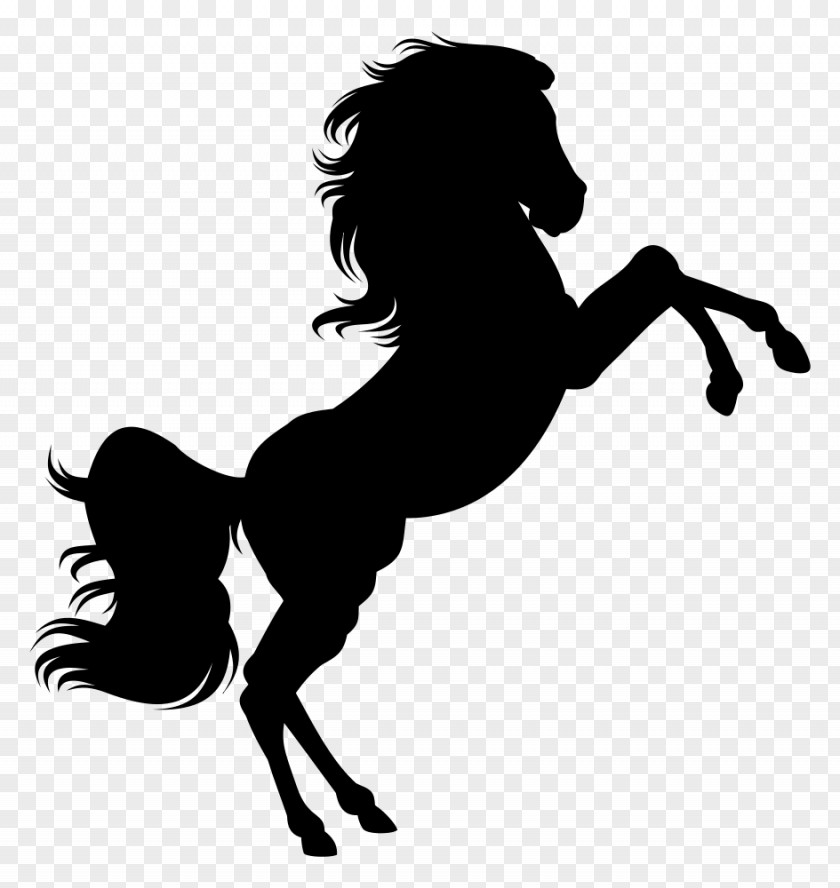 Horse Silhouette Clip Art PNG