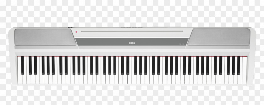 Piano Digital Musical Instruments Korg Stage PNG