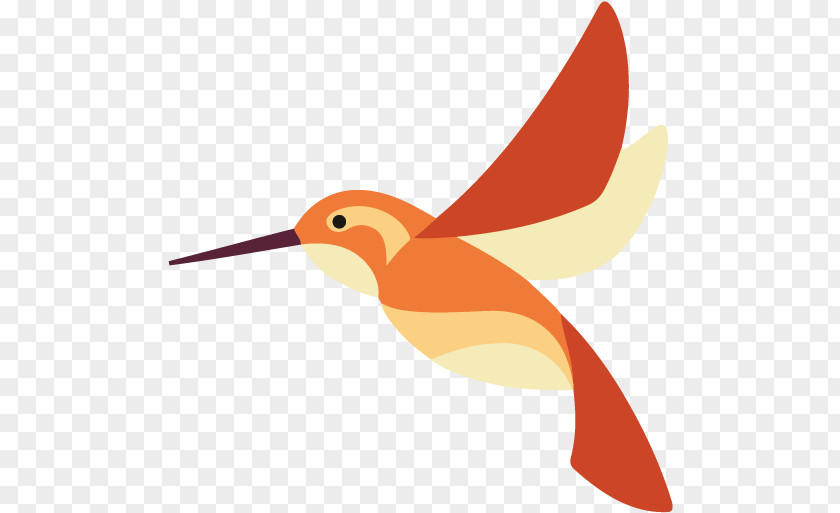 Piciformes Coraciiformes Bird Wing PNG