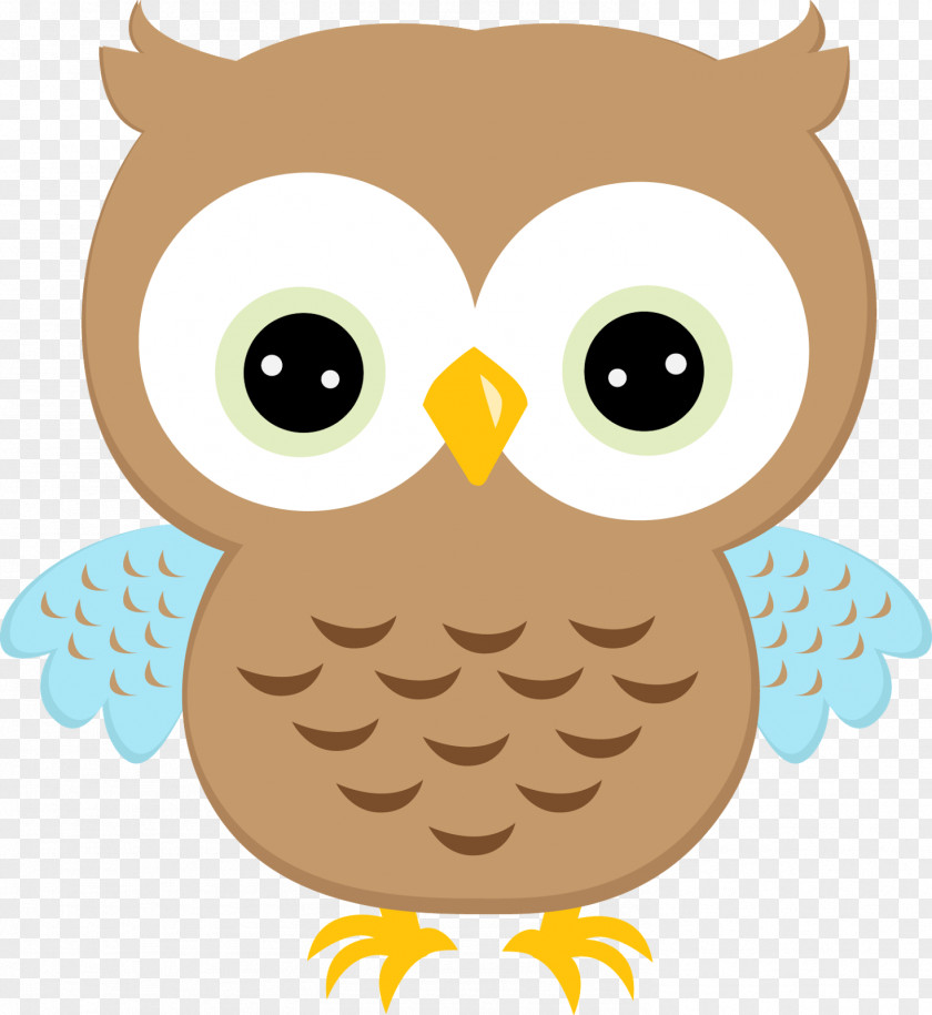 Pretty Clipart Little Owl Clip Art PNG