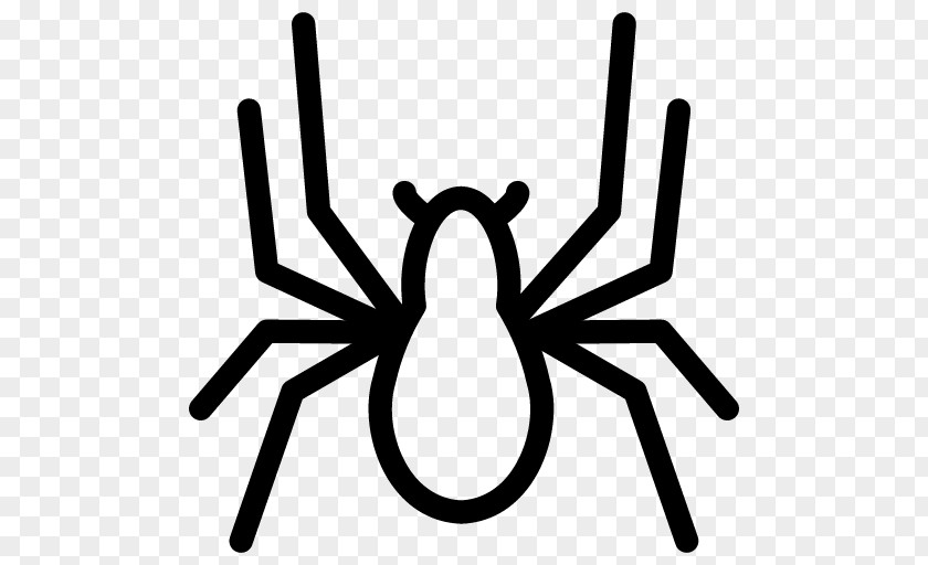 Spider YouTube Eight Legs PNG