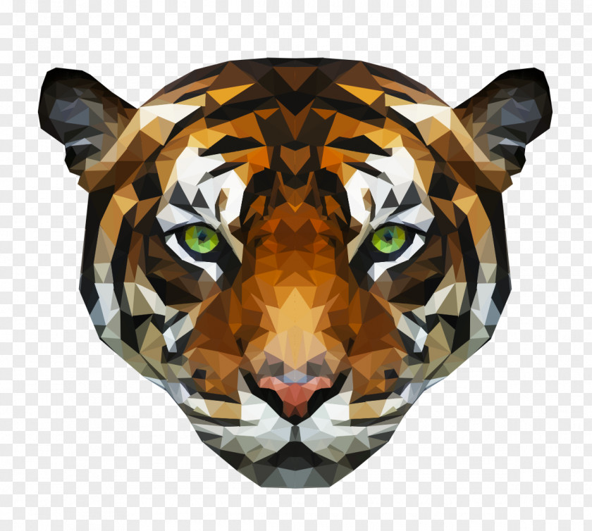 Low Poly Tiger Photography PNG