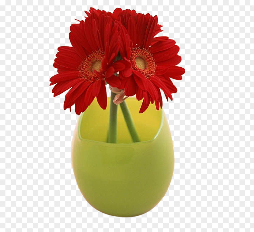 Red Gerbera Flower Patient Glitter Therapy Pantip.com Pharmaceutical Drug PNG