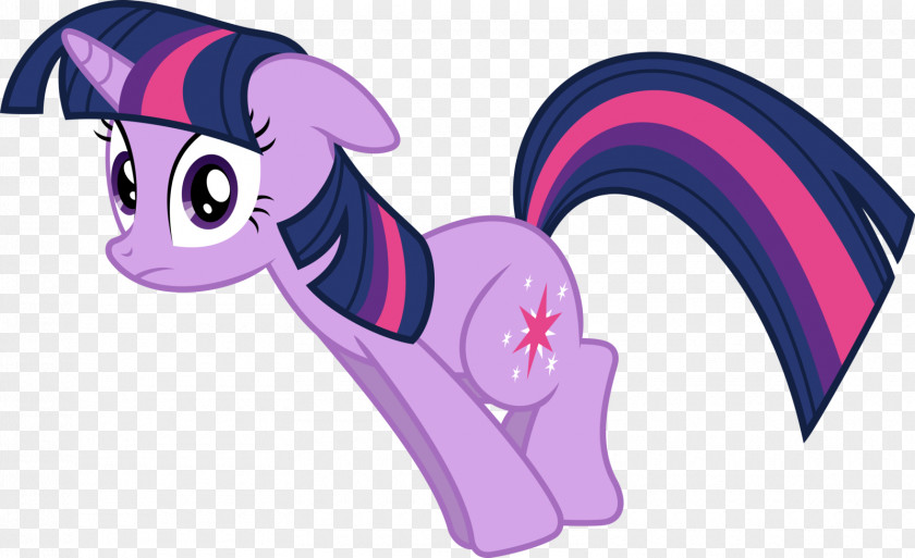 Sparkle Twilight Pony Rainbow Dash Fluttershy PNG
