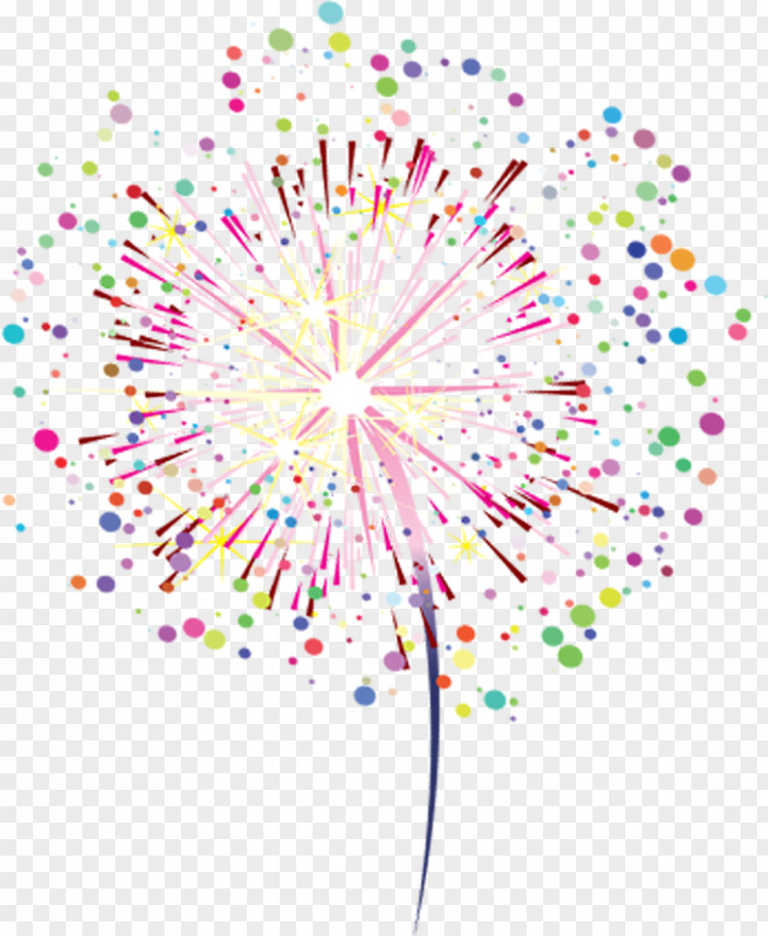 Color,Fireworks,Fireworks,Joyous Fireworks Explosion PNG