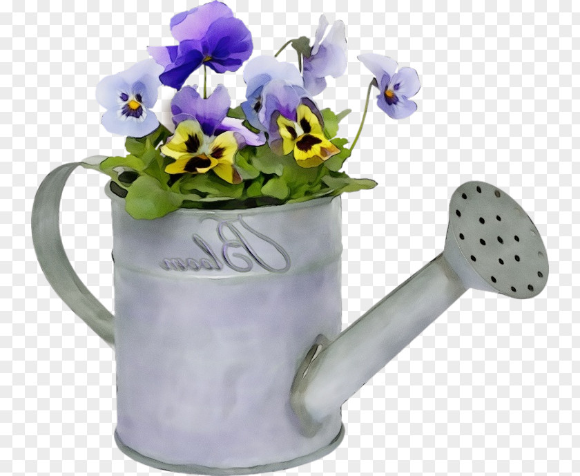 Cut Flowers Ceramic Watering Can Violet Flower Purple Plant PNG