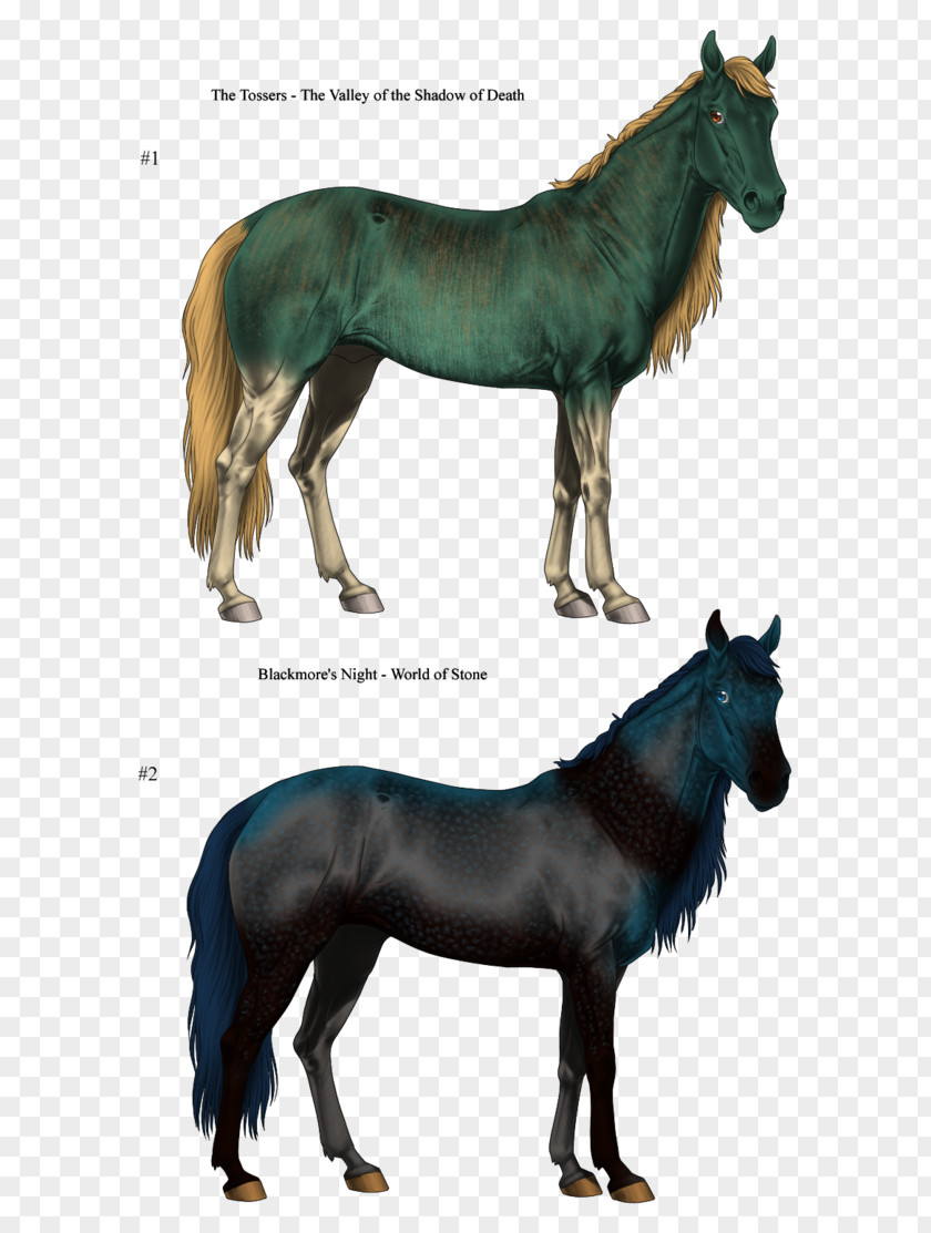 Fantasy Horse Mane Mustang Pony Stallion Mare PNG